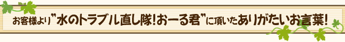 お客様より