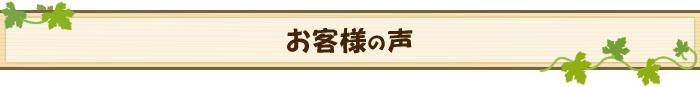 お客さまからの声